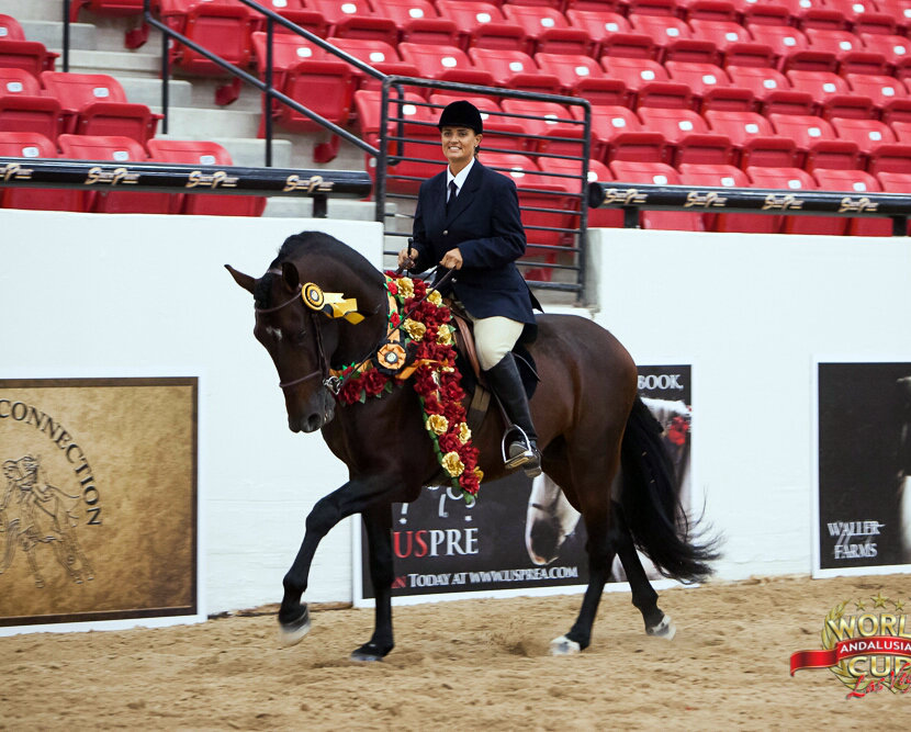 Leeanne Lloyd Equestrian Enterprises